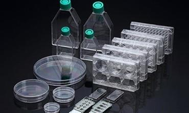 註塑模(mo)具時出(chu)現(xian)問題(ti)應該(gai)從這(zhe)裏排查?